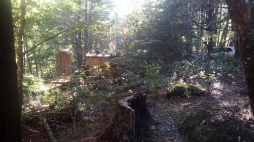 Lodge Domo Entre Bosques
