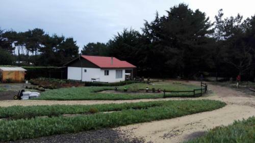 Lodge Casas Hellenkamp En Punta De Lobos