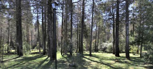 Lodge Ananda