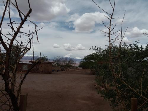 Ckapur Atacama Caba�as