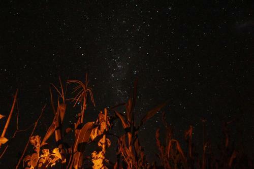 Ckapur Atacama Caba�as