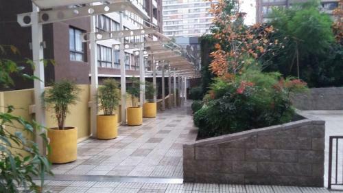 Apartamento Amoblados Victor Fenolio