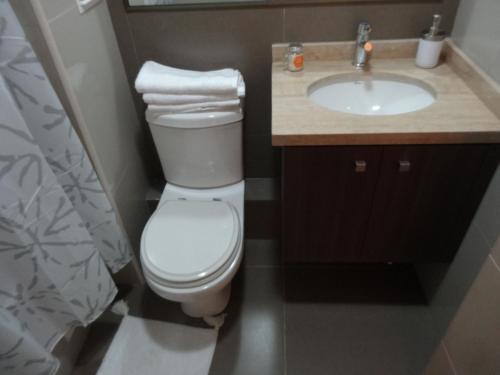 Apartamento Departamento Temuco Centro