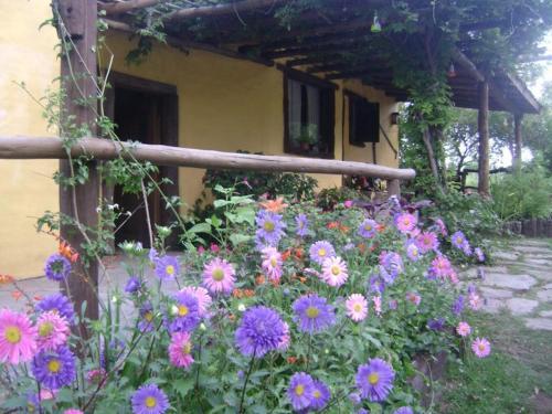 Lodge Caba�as Kalahuasi El Durazno