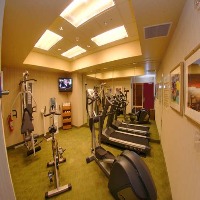 Hotel Hampton Inn & Suites Greenville-downtown Sc