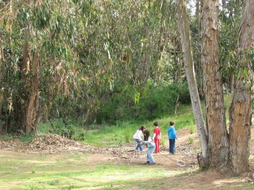 Caba�as A Algarrobo