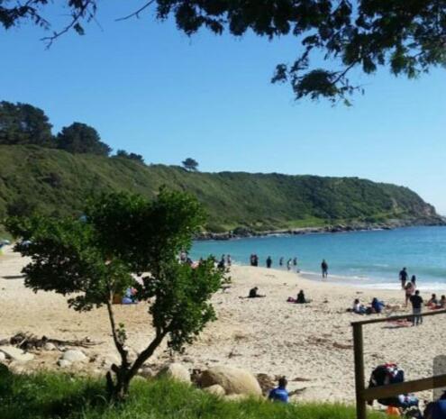 Casas Algarrobo El Canelo