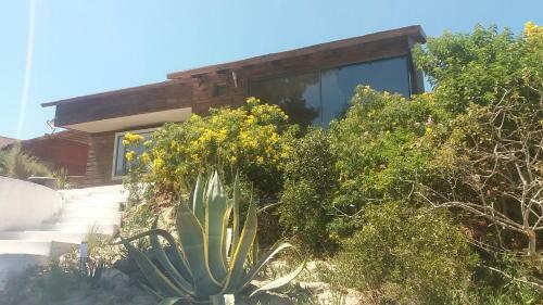 Casa Algarobo