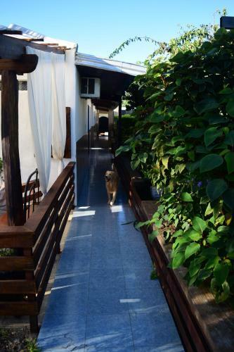 Hostal Esquina Apart Hotel