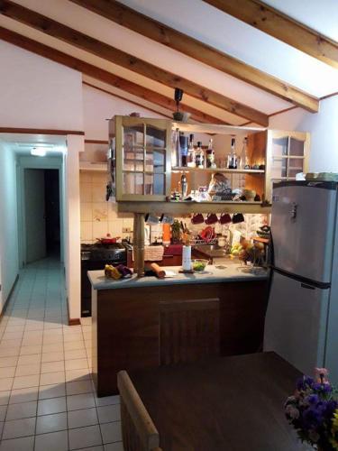 Algarrobo Todo El A�o