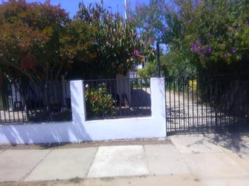 Algarrobo Todo El A�o