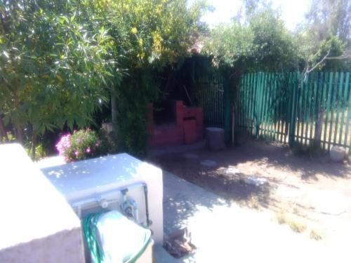 Algarrobo Todo El A�o