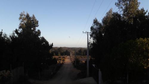Domos Y Caba�as Algarrobo