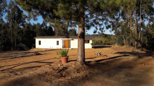 Domos Y Caba�as Algarrobo