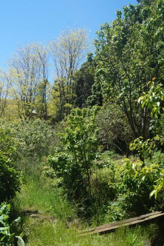 Lodge Caba�a Ribera De Buchupureo