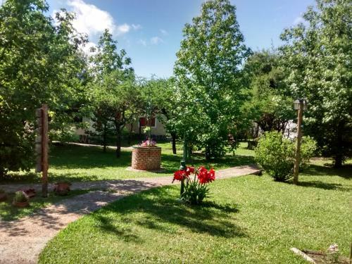 Lodge Complejo La Colina