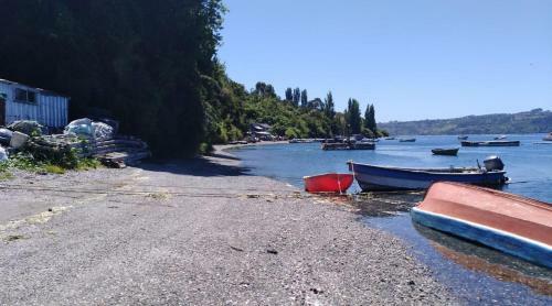 Agroturismo Caba�as Laguna Quinched