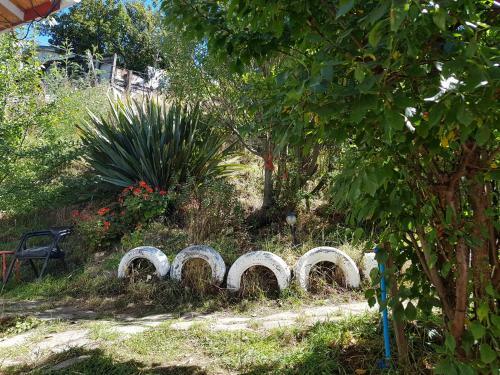Lodge Caba�as Cotesita