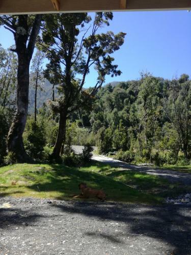 Carretera Austral Km21 Sector Rio Amarillo Casa O Chalet