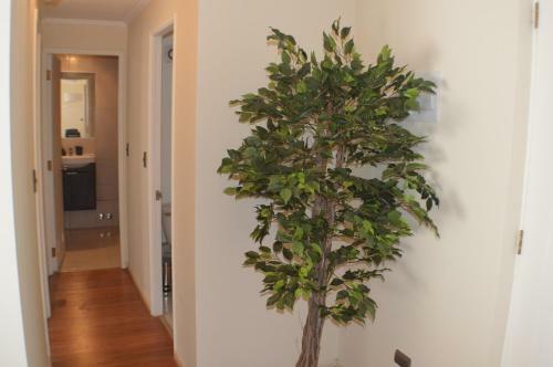 Apartamento Departamento Claudio Arrau
