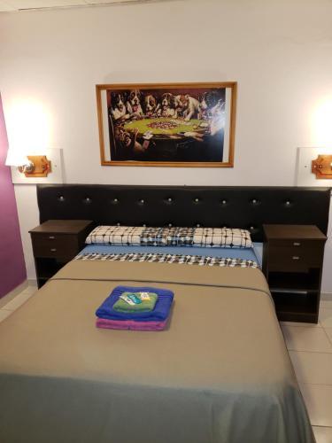 Zamboni Apartamentos