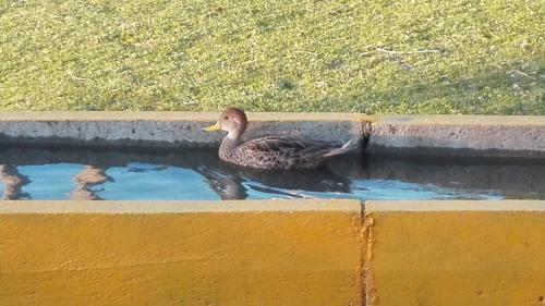 Apartamento Ecolodge & Flyfishing