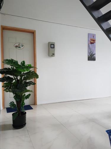 Apartamento Departamentos Barroso