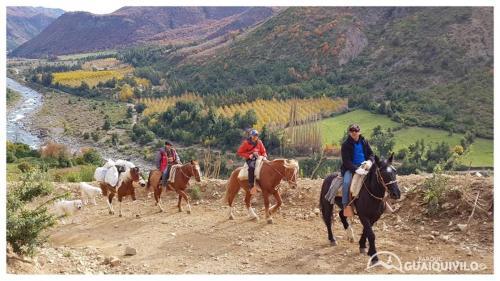 Hostal Parque Guaiquivilo Refugio Monta�a