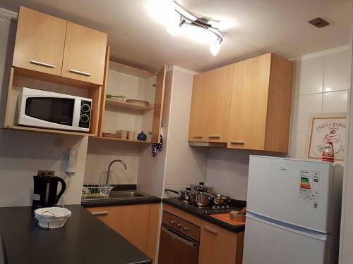 Apartamento Urbano Suites Concepcion