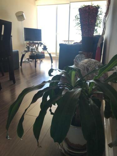 Apartamento Nuevo Departamento Amoblado Para 4 Personas