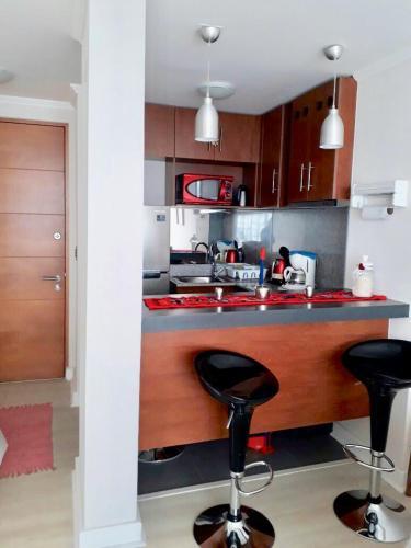 Apartamento Vista Al Mar Playa Los Lilenes 1 Dorm