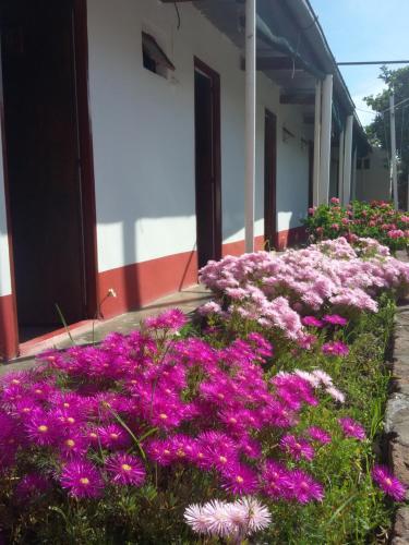Hotel Tu Casa Hospedaje