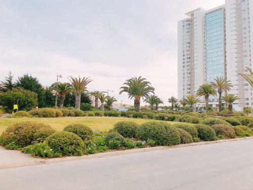 Apartamento 232 Costa De Montemar