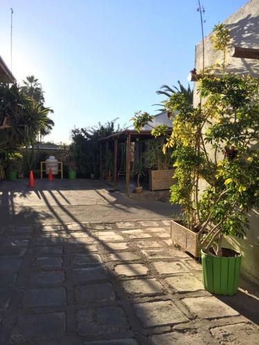 Hotel Oasis De Atacama
