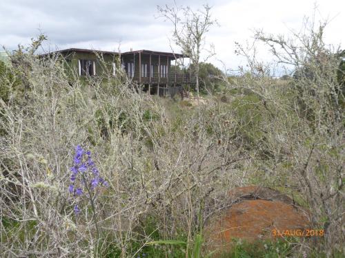 Guanaqueros: Gran Casa Con Quebrada Verde