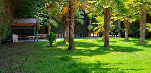 Villa Gran Parcela De Verano 20 Personas