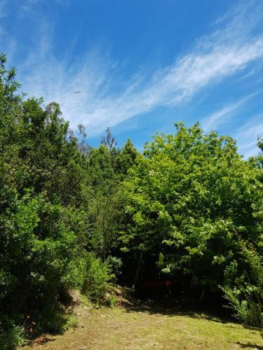 Agroturismo Caba�a Y Tinaja Puerto Cullamo