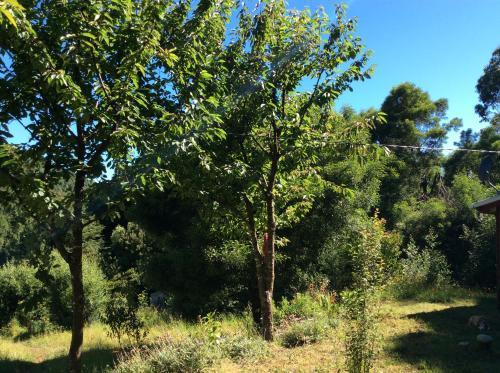 Agroturismo Caba�a Y Tinaja Puerto Cullamo