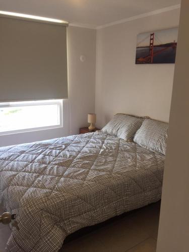 Apartamento Edificio Nuevo Marina Oceano