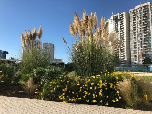 Apartamento Dpto Marina Horizonte II