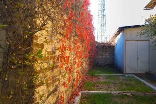 Apartamento Hostel Reggina