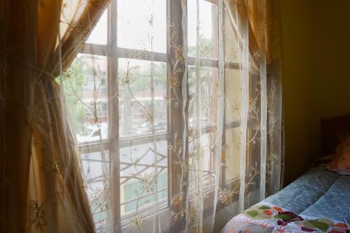 Homestay In Chile B&B