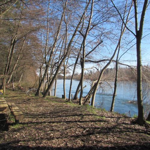 Lodge Caba�as Borde Rio Salto Del Laja