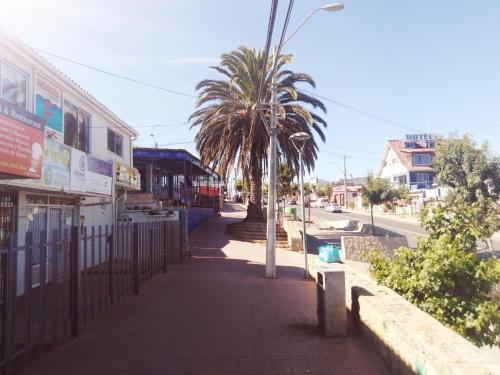 Albergue Hostal Boutique F