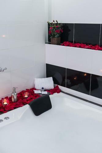 Andino Hotel