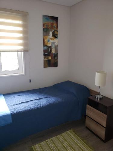 Apartamento Departamento Frutillar