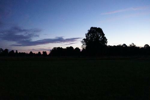 La Casa Negra Frutillar