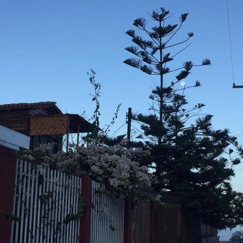 Apartamento UNA Vista Fant�stica!