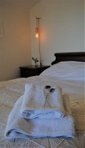 Bed & Breakfast Evergreen