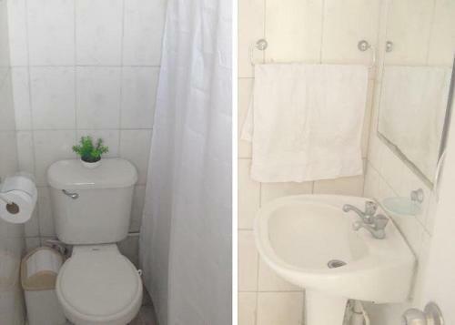 Apartamento Departamento Los Alelies